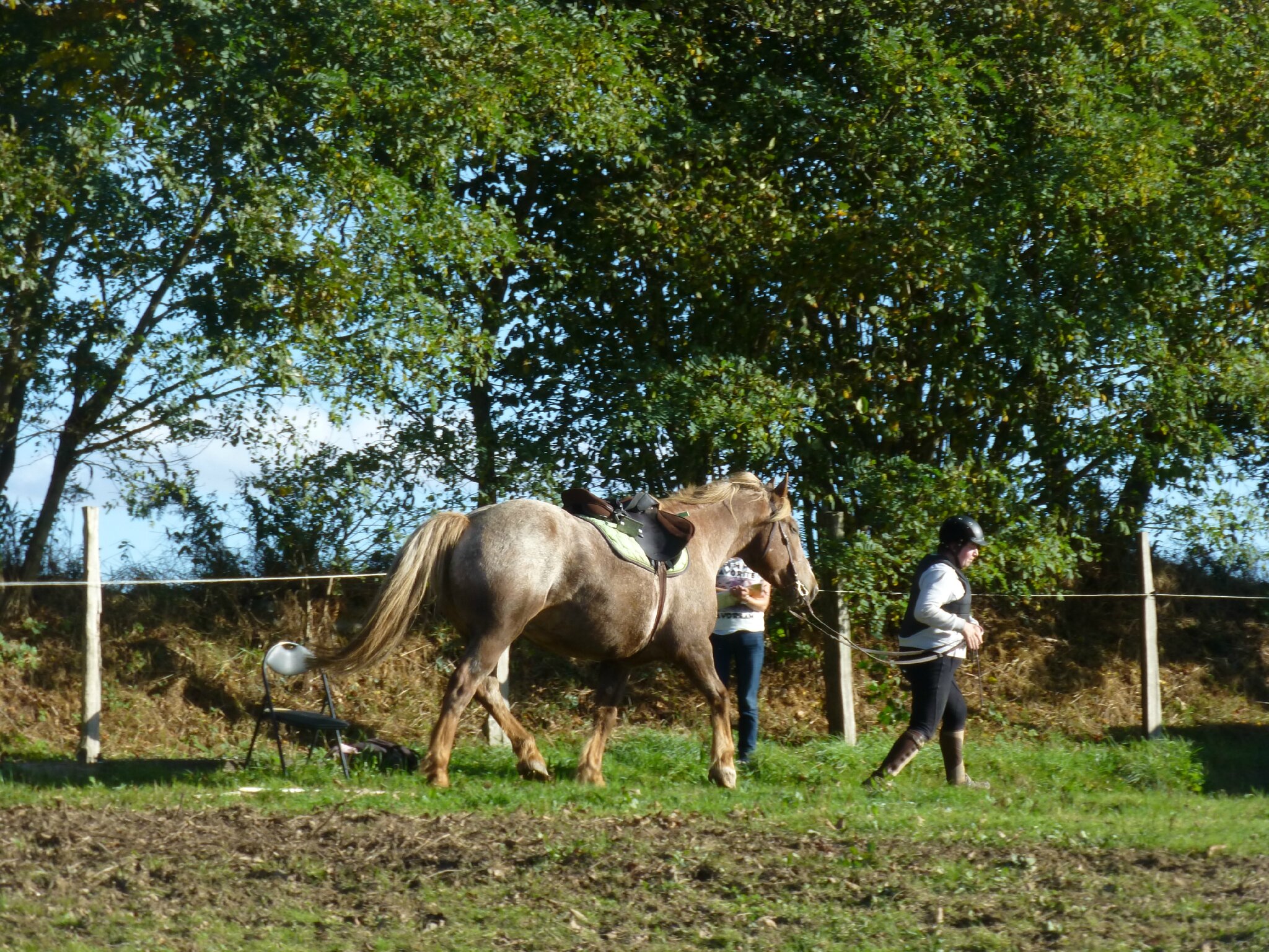 P1150764