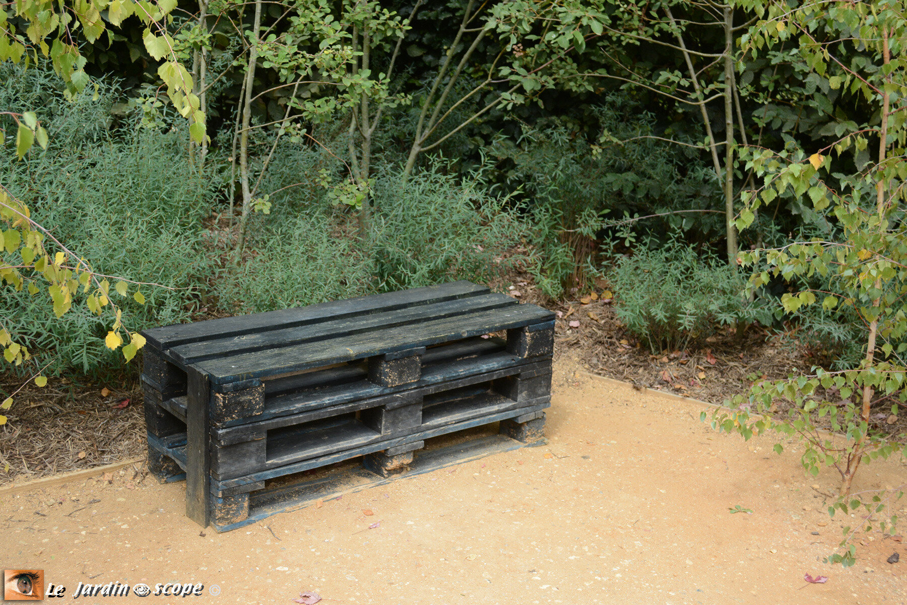 Banc fait avec des palettes en bois de récup'