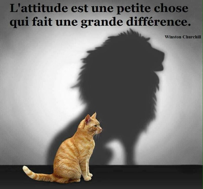 attitude