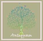 http://www.antequam-genealogie.fr/