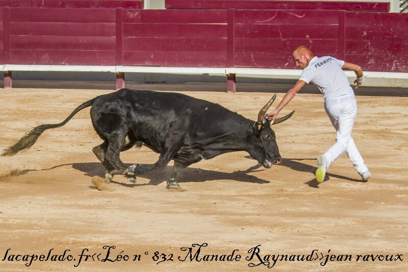 istres%2520le%25204%25208%2520201520150808019213