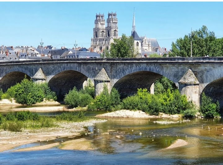 2023 08 11 visite Loire St jean de braye (3)