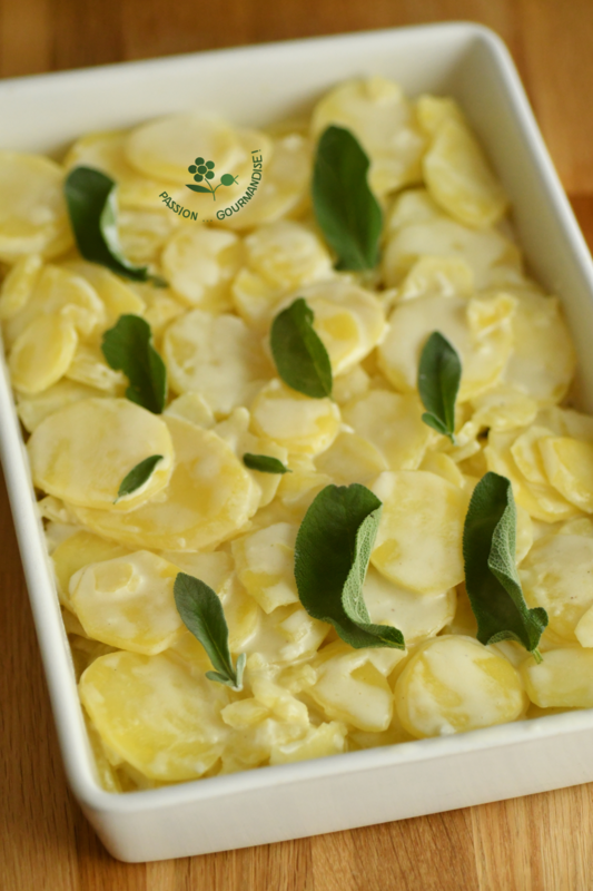 Gratin dauphinois à la sauge_1