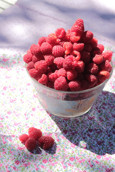 framboises