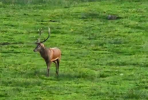 Capture d'écran 2023-10-03 212407