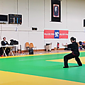 MYLENE KUNG FU Tradi - Médaille d'Or
