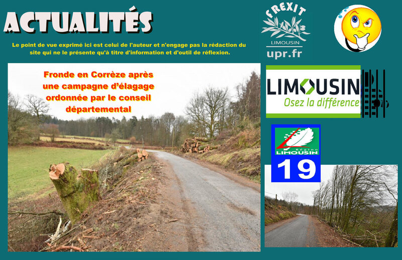 ACT CORREZE FRONDE ARBRES