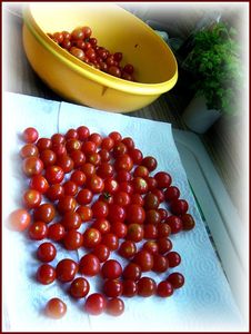 tomates_2