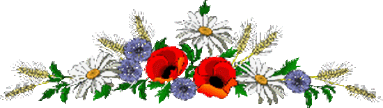 Gif barre Fleurs des champs Haut 550 Pixels