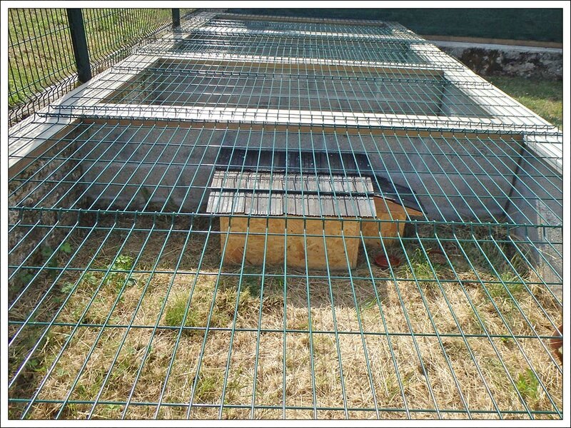Centre sauvegarde readapt herissons 150614