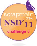 NSD11_orange_challenge5