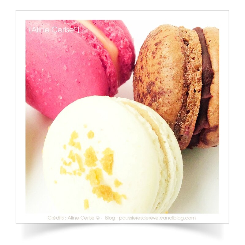 macarons3