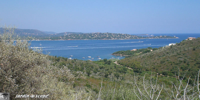 CIMG0173