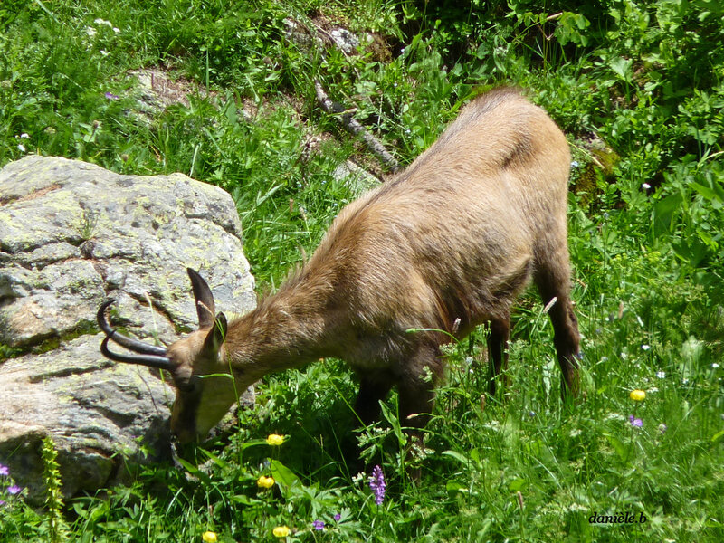 P1130318___Copie