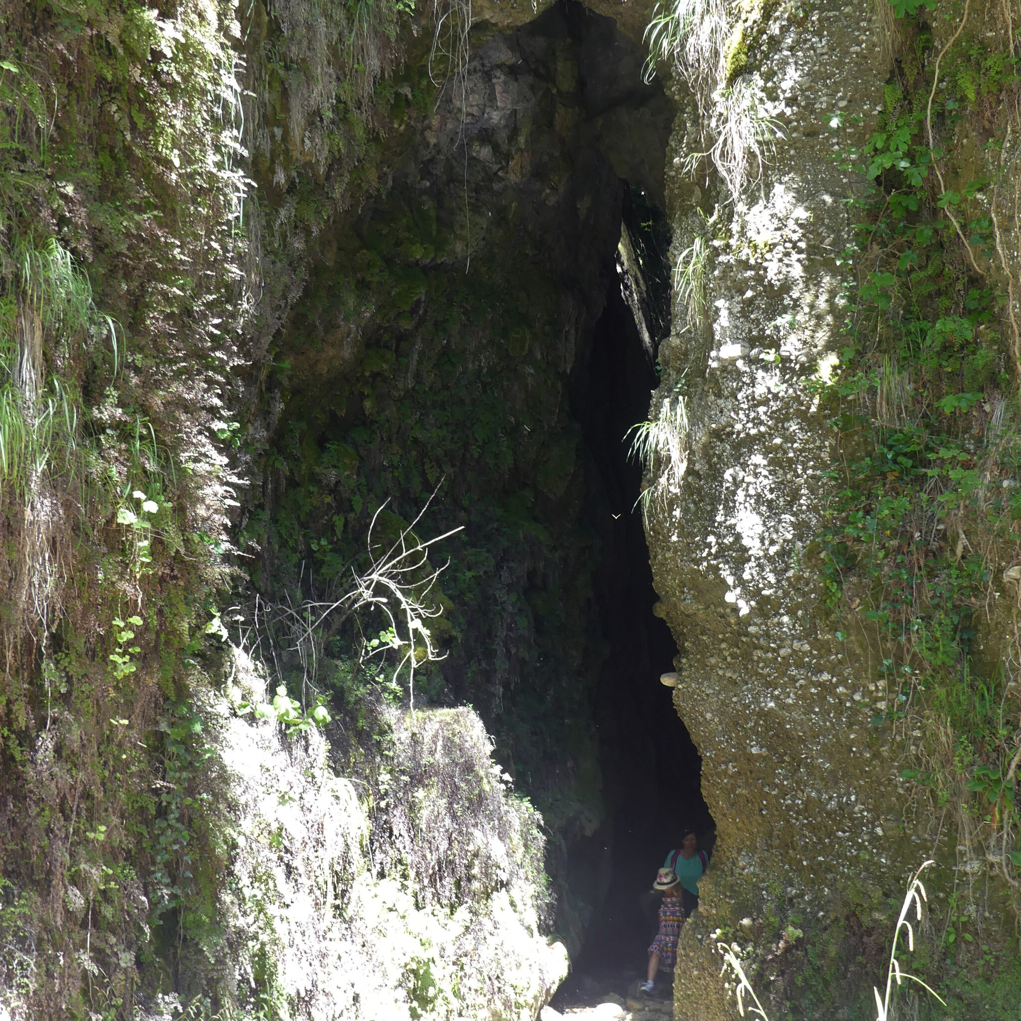 P1120693 (2)