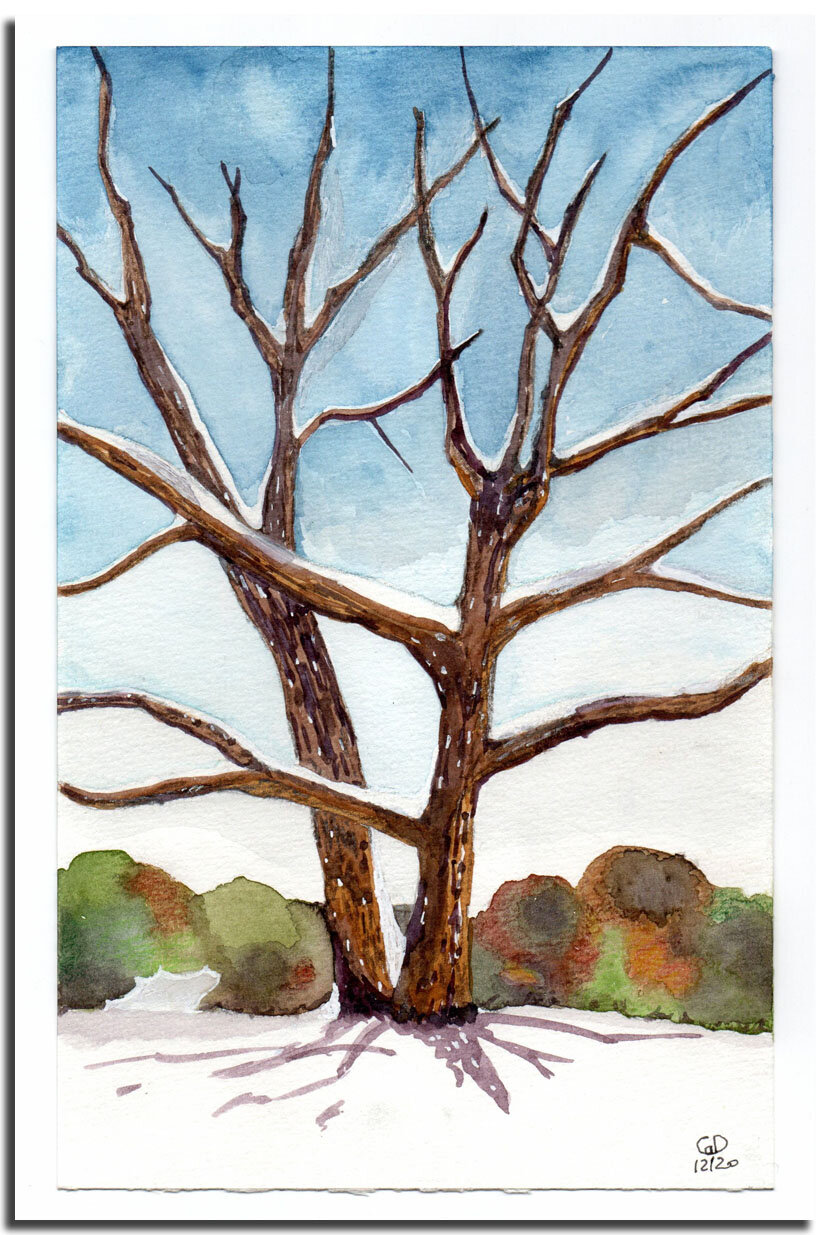 Arbre enneigé