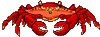 crabes_010
