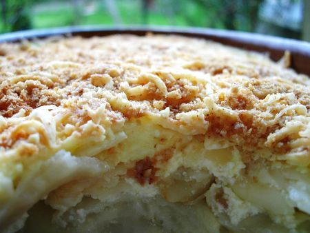 Gratin_de_c_leri