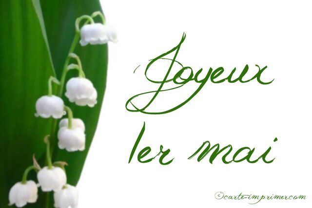 muguet-1er-mai-2012