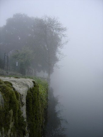 brouillard_007