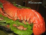 Homard_cuit_au_vivier_007