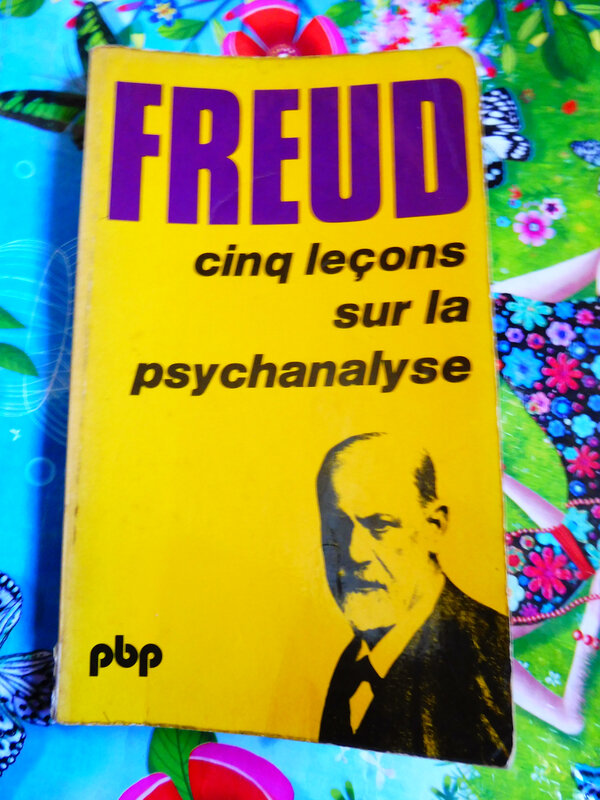 5 leçons sur psycanalise