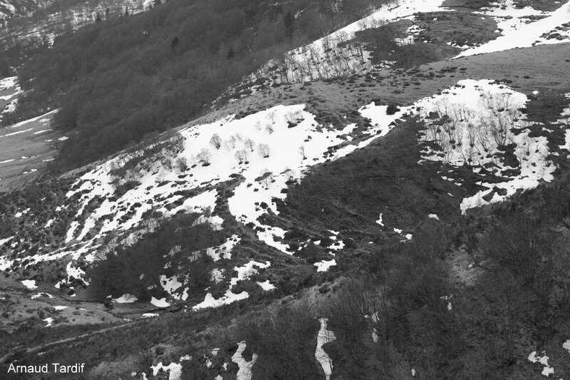 00326 Paysage de Neige - Vue de la D130 en direction du Col de la Croix St Morand BLOG