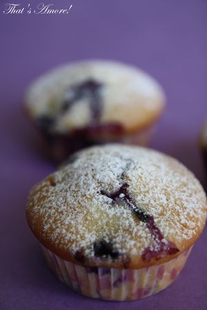 Muffins aux myrtilles – Muffins ai mirtilli