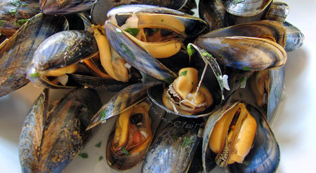 moulescuites