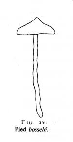 Joss fig 59