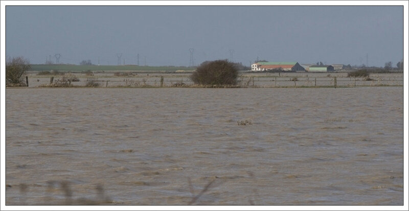 Aiguillon inondation ferme 280210