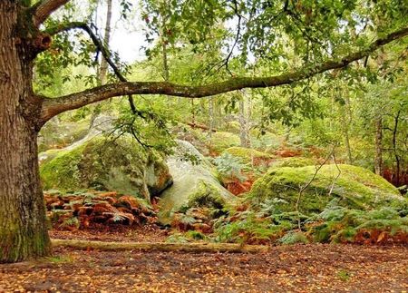 Fontainebleau_7