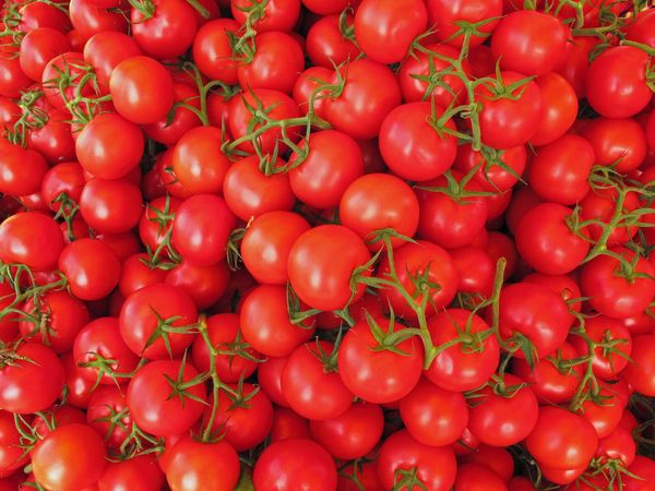 tomates__3_