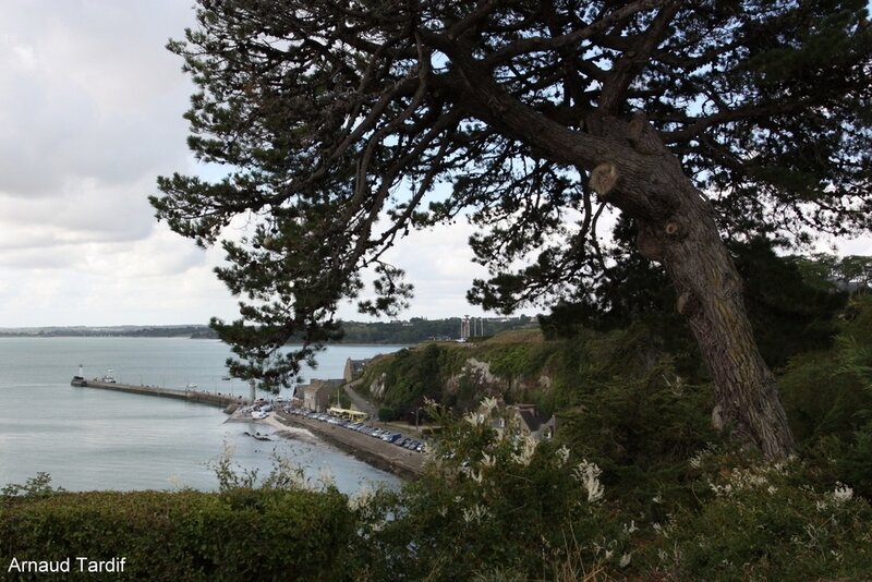 0067 Bretagne Saint-Coulomb - Cancale vu depuis le Belvédère de la Pointe du Hock