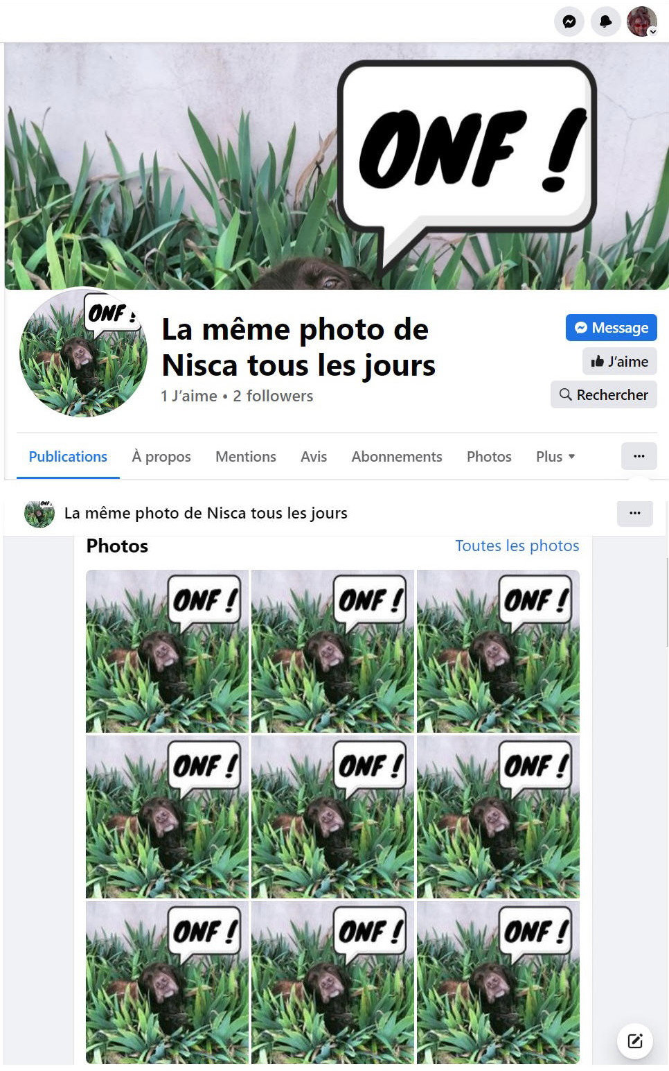 La même photo de Nisca tous les jours