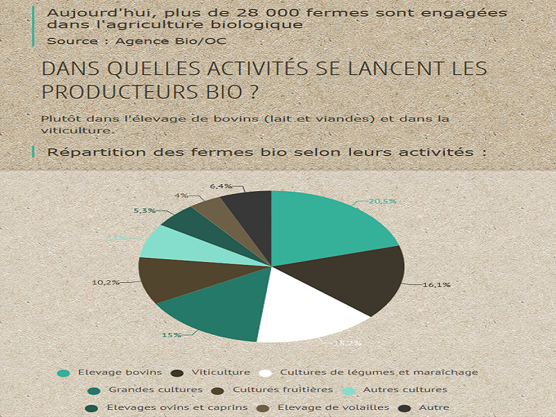 FireShot Screen Capture #059 - 'Data - L'agriculture biologique gagne du terrain - Environnement Magazine' - www_environnement-magazine_fr_presse_environnement_actualites_5829_