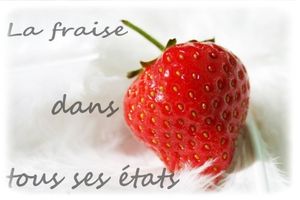 concoursfraise