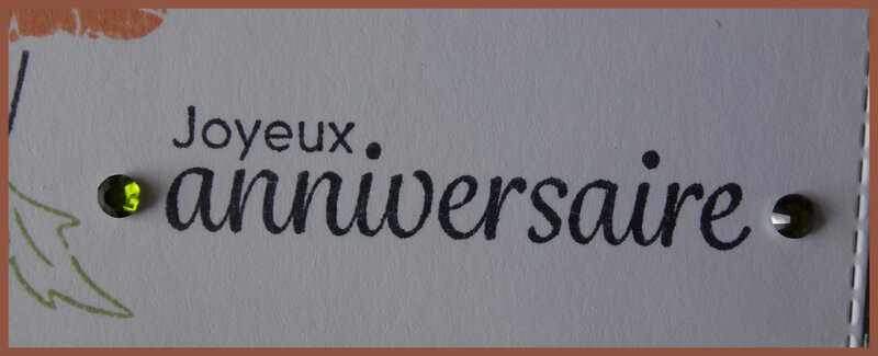 Carte anniv 2019 Sophie (4)