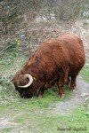 IMG_1029