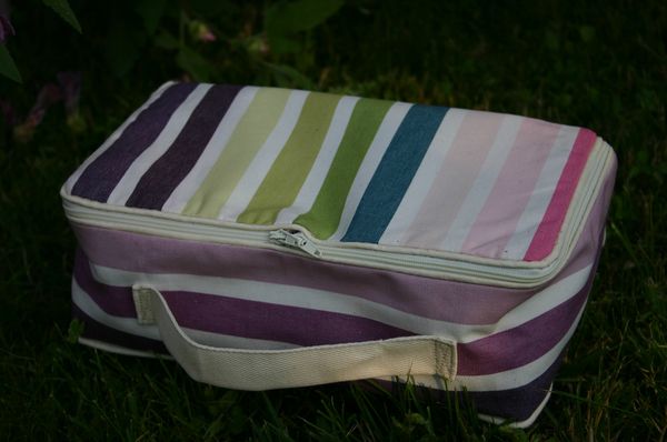 petite valise 004
