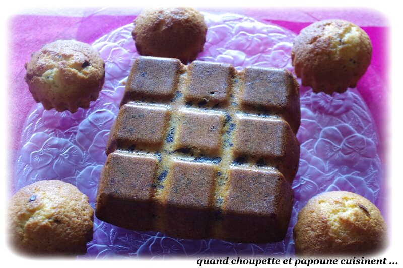 Gâteau fondant copeaux de chocolat noir et tartinade amande-orange-5355