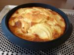 Moelleux aux pommes 4X9 (13)