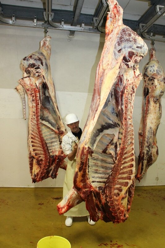 K abattoirs Gesler à Hotonnes