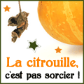 concours_citrouille_120