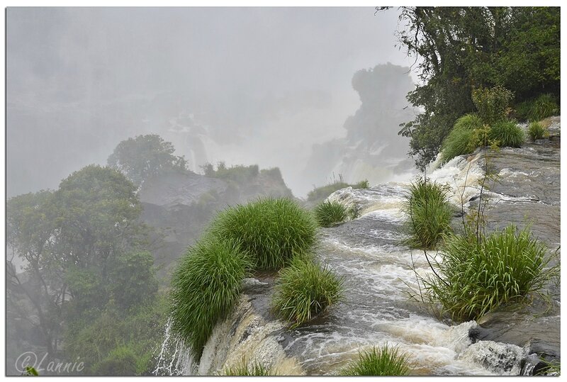 _Argentine_623_Iguazu