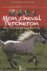 Mon_cheval_percheron_001