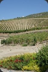 Symington-Graham-Porto-Douro-76_thumb[3]