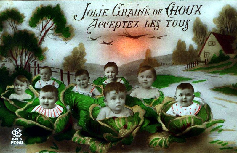 Graines de Poilus 73
