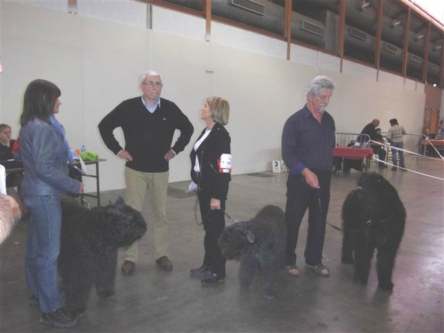 expo canine NIMES 20/05/12 3 Dullague!!!