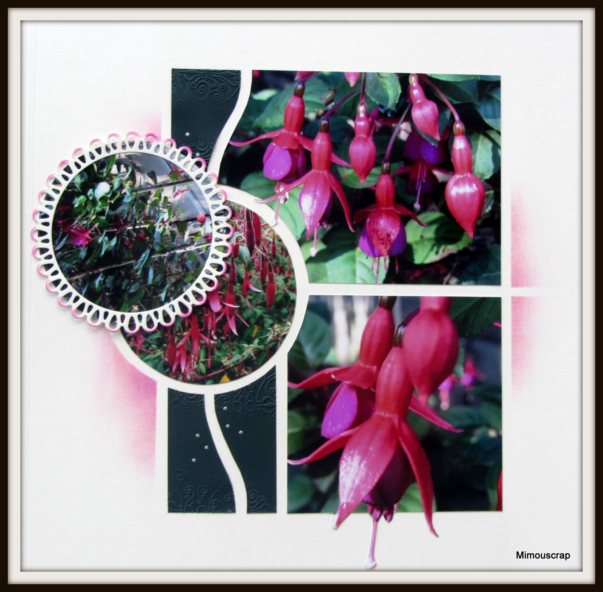 Jardin 2016 087